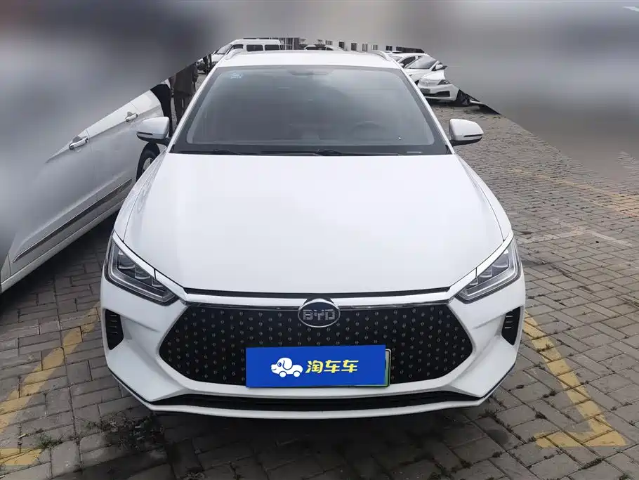 BYD e2 2021 Luxury Edition фото 2