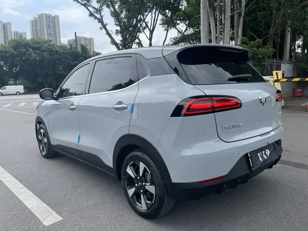 Wuling Motors Wuling Binguo PLUS 2026 2024 Model 330km 5-Seater