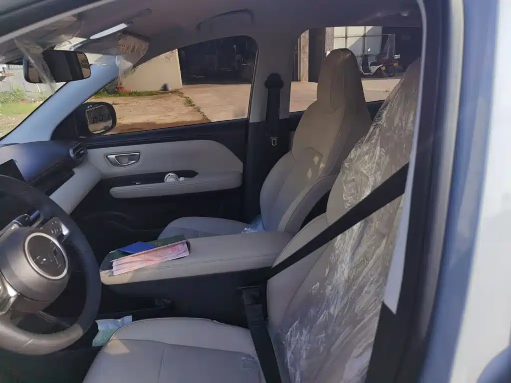 Wuling Motors Wuling Binguo PLUS 2026 2024 Model 330km 5-Seater