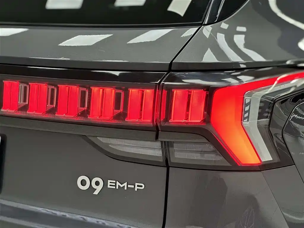 Lynk & Co 09 EM-P 2023 2.0TD EM-P Long Range PM 6-Seater фото 8