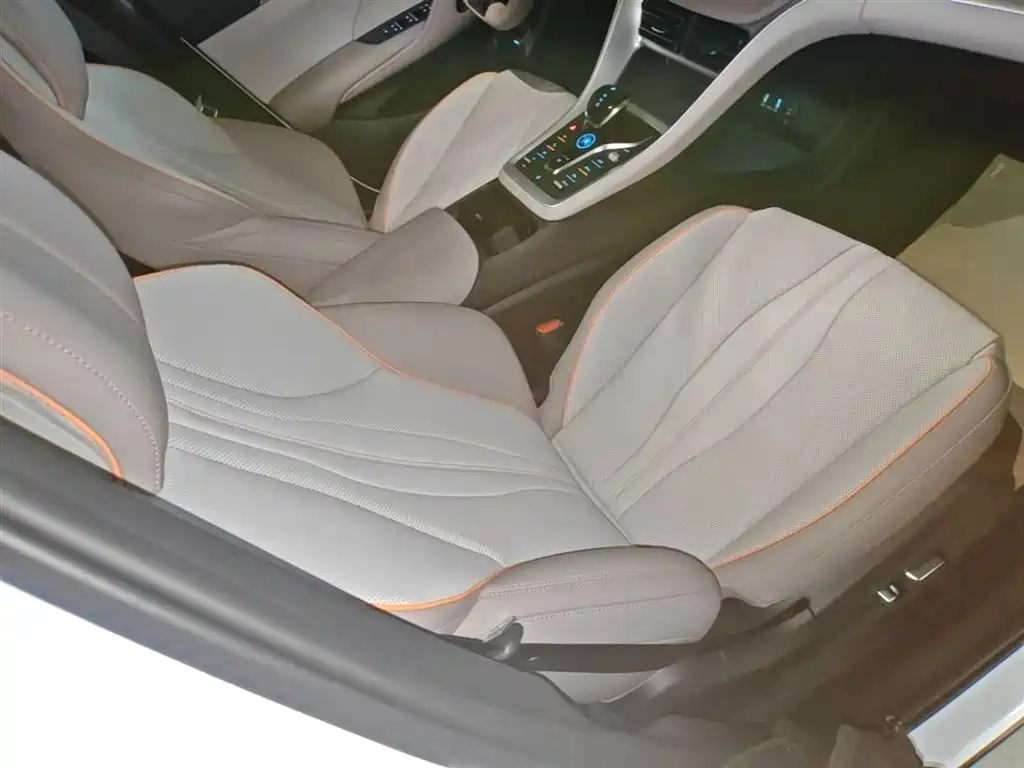 BYD Song Pro New Energy 2023 Champion Edition DM-i 110KM Excellence фото 25