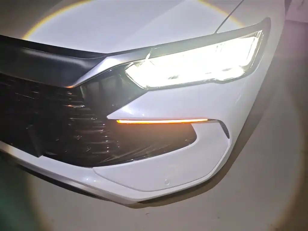 BYD Song Pro New Energy 2023 Champion Edition DM-i 110KM Excellence фото 24