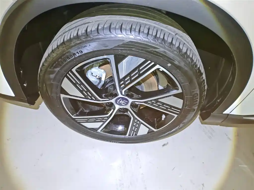 BYD Song Pro New Energy 2023 Champion Edition DM-i 110KM Excellence фото 23
