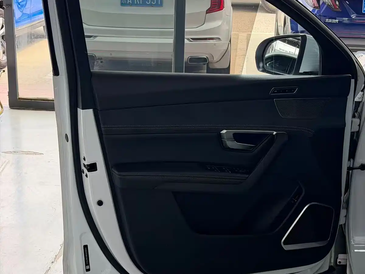 BYD Song Pro New Energy 2019 EV High Power Long Range Flagship фото 5