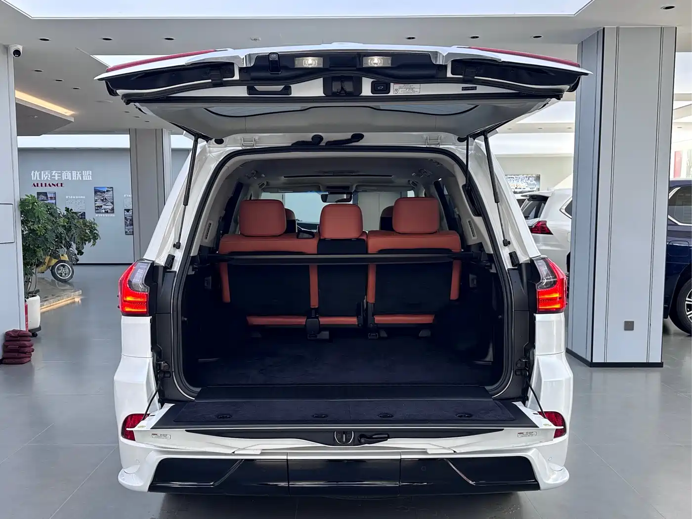 Lexus LX 2017 570 Peak Special Limited Edition фото 9