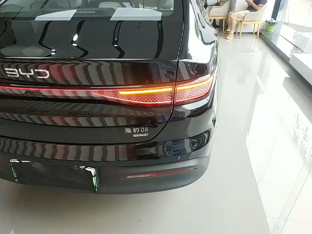 BYD Hai Bao 05 DM-i 2025 DM-i Smart Driving Edition 120KM Flagship фото 8