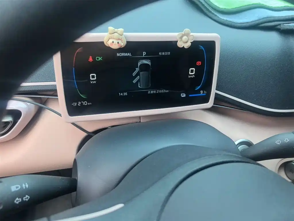 BYD Seagull 2023 Vitality Edition фото 12