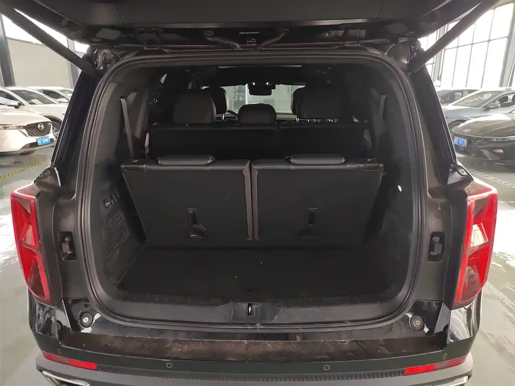 GAC Trumpchi Trumpchi GS8 2022 Pilot Series 2.0TGDI 2WD Premium Edition (7-Seater) фото 15