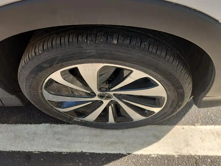 BYD SONGJIANG NEW ENERGY