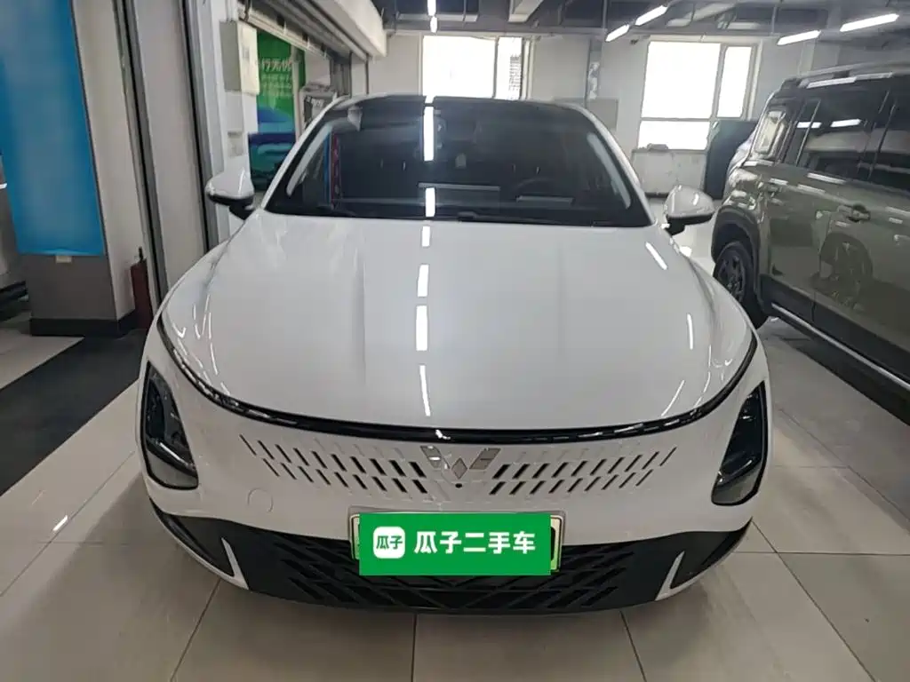 Wuling Motors Wuling Xingguang 2024 2023 150 Advanced Edition