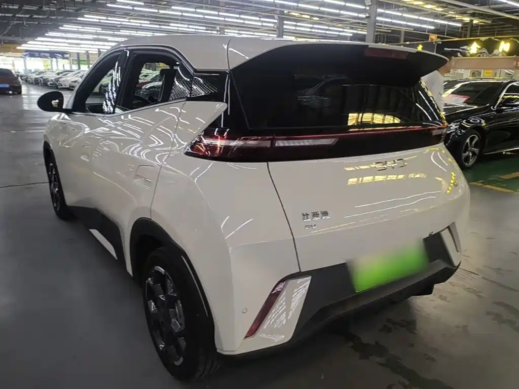 BYD Seagull 2024 Glory Edition 305km Freedom Edition фото 5