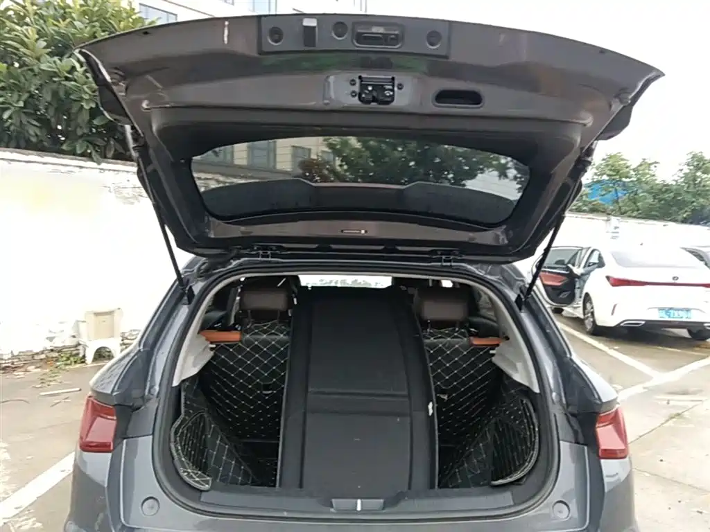 BYD e2 2021 Luxury Edition фото 19