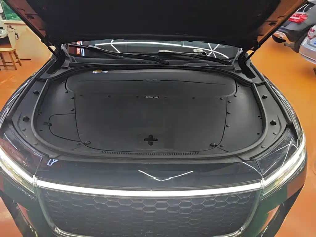 Фото 20 - Li Auto Li ONE