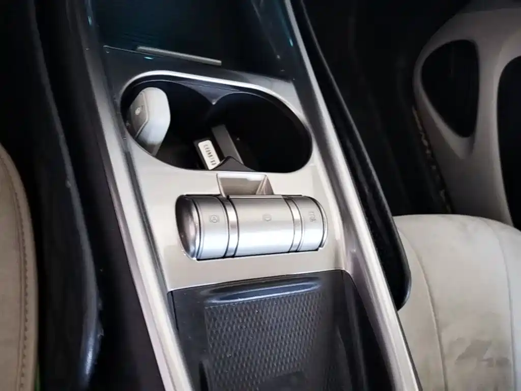 BYD Dolphin 2021 Model 405km Fashion Edition фото 14