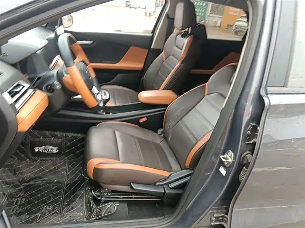 BYD e2 2021 Luxury Edition фото 15