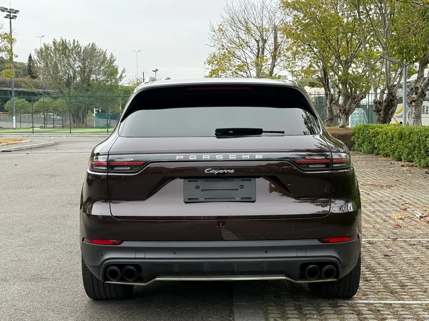 Porsche Cayenne 2019 Cayenne 3.0T фото 16