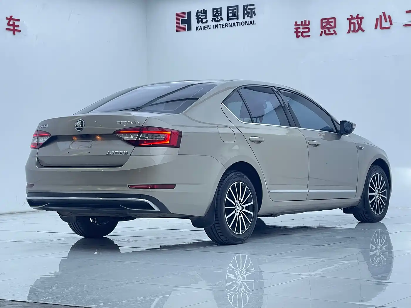Škoda Octavia 2018 1.6L Automatic Luxury фото 6
