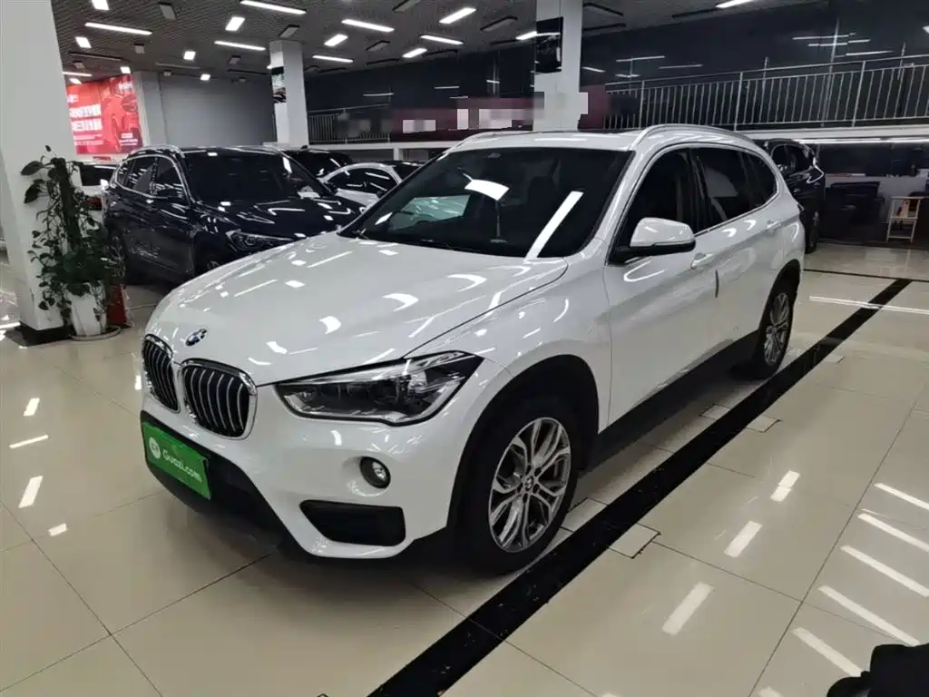 BMW X1 2019 sDrive20Li Leading Model фото 2