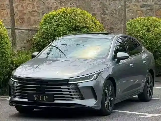 BYD Destroyer 05 2023 Champion Edition DM-i 120KM Premium