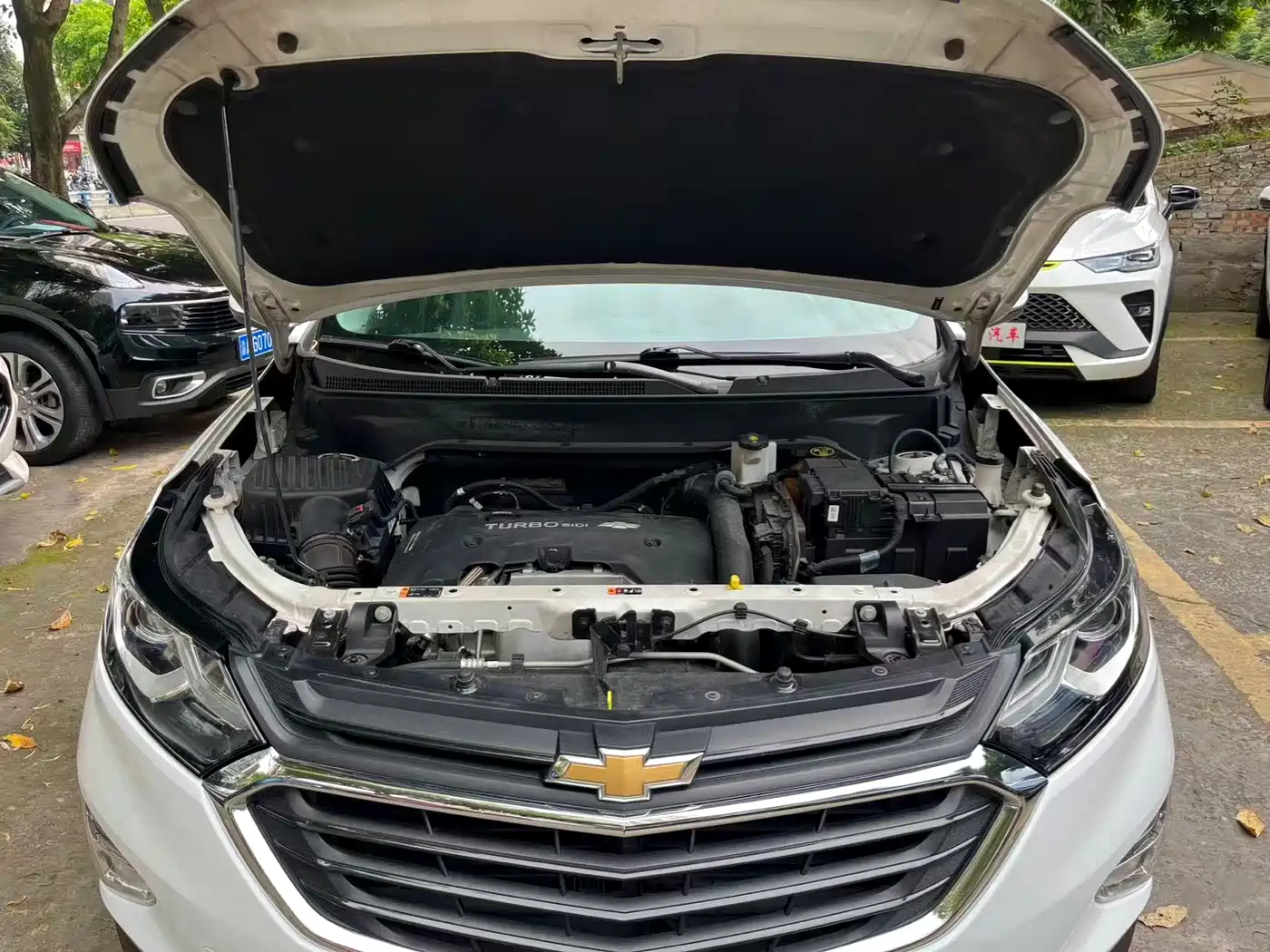 Chevrolet Equinox 2017 550T Automatic 4WD Pioneer Edition фото 14