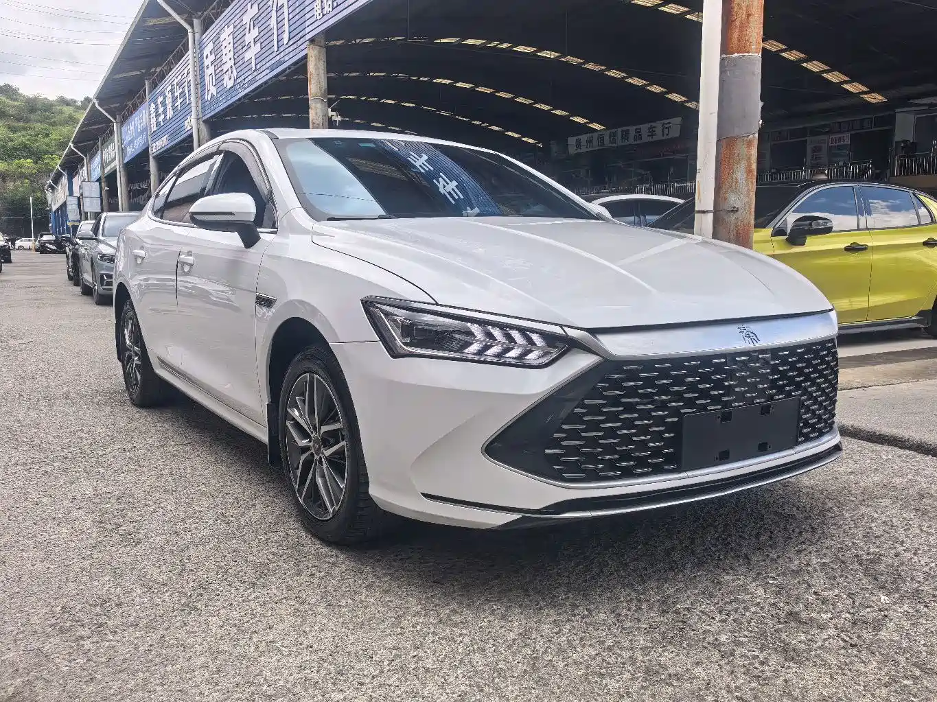 Фото 3 - BYD Qin PLUS