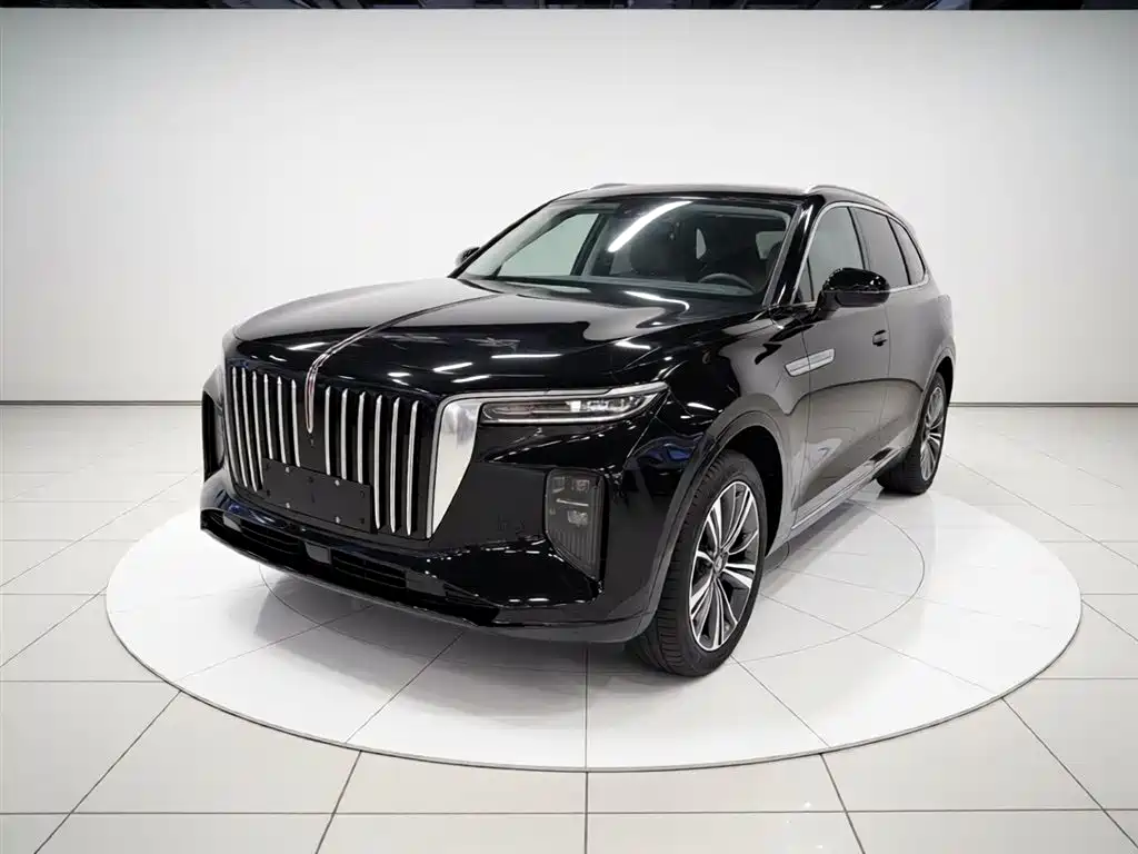 Hongqi E-HS9 2021 510km Flagship Comfort 6-seater фото 2