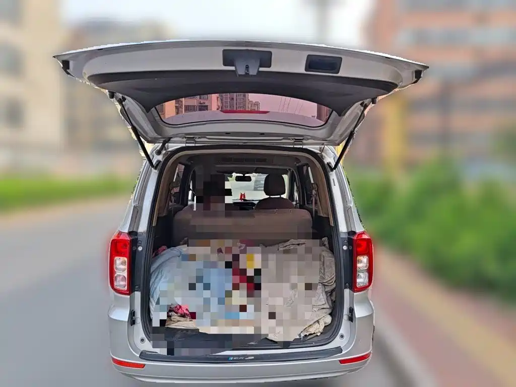 Wuling Motors Wuling Hongguang 2023 2021 1.5L Facelift S Standard Hydraulic Power Steering LAR