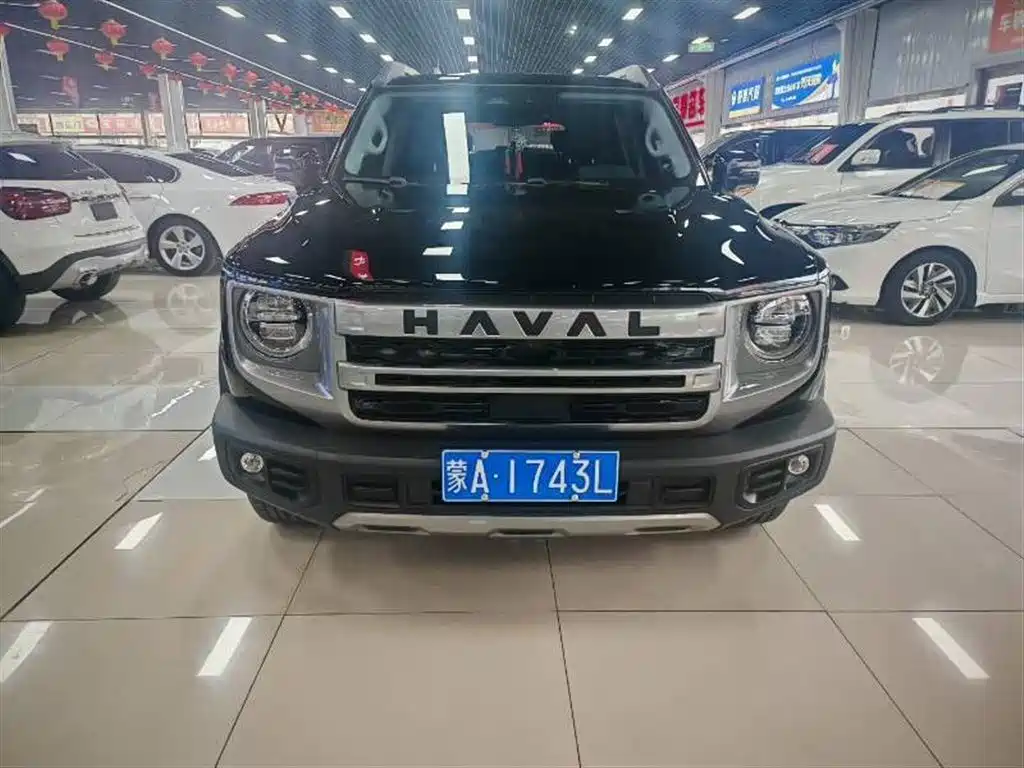 Haval Big Dog 2024 2.0T DCT Chinese Rural Dog Edition