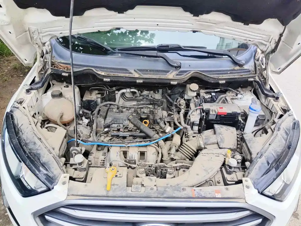Ford EcoSport 2018 2018 1.5L Automatic Platinum Wing