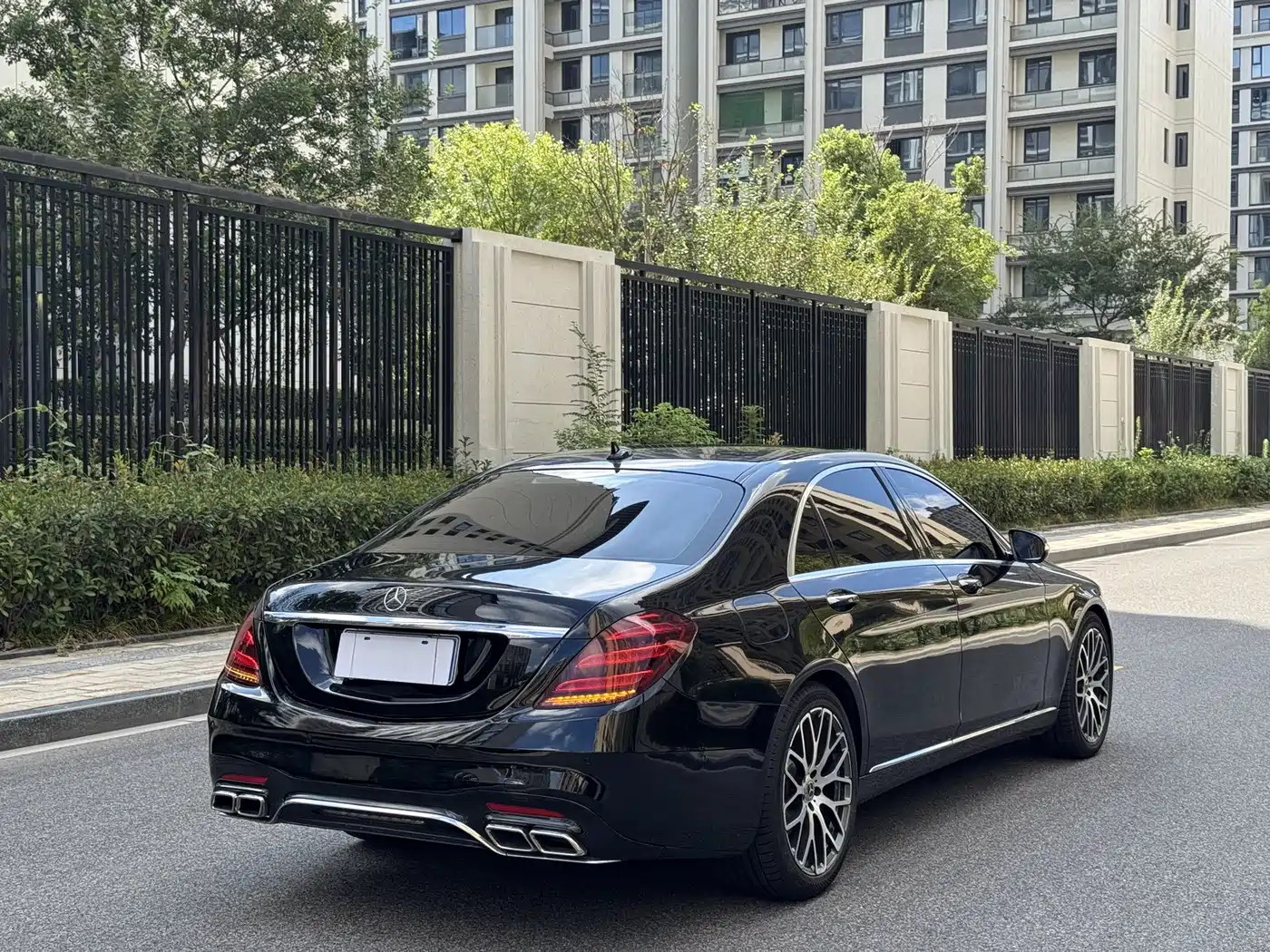 Mercedes-Benz S-Class 2020 S 350 L Business Edition Collector's Version фото 6
