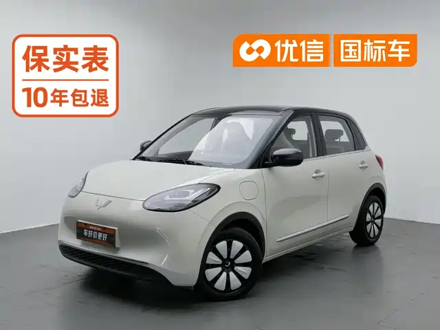 Wuling Motors Wuling Bingo 2024 333km Comfort Edition — фото 1