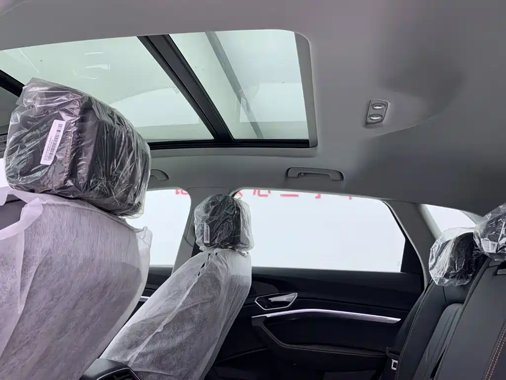 Audi e-tron 2026 2021 50 quattro Luxury