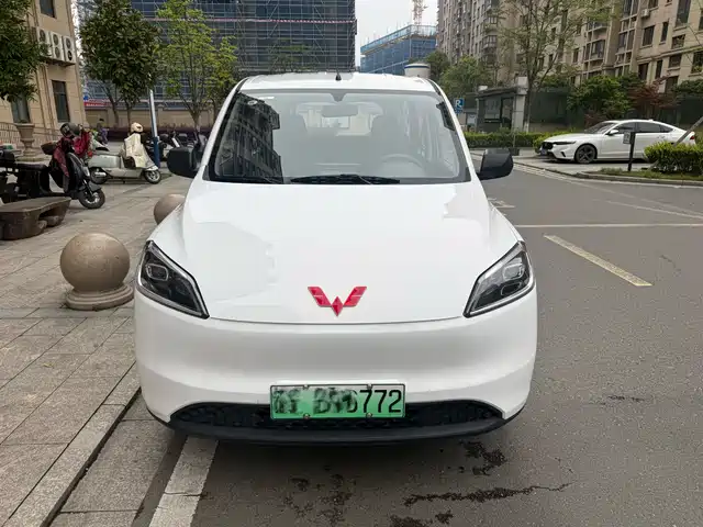  Wuling Motors Wuling Hongguang New Energy 2024 Pure Electric 300KM Standard