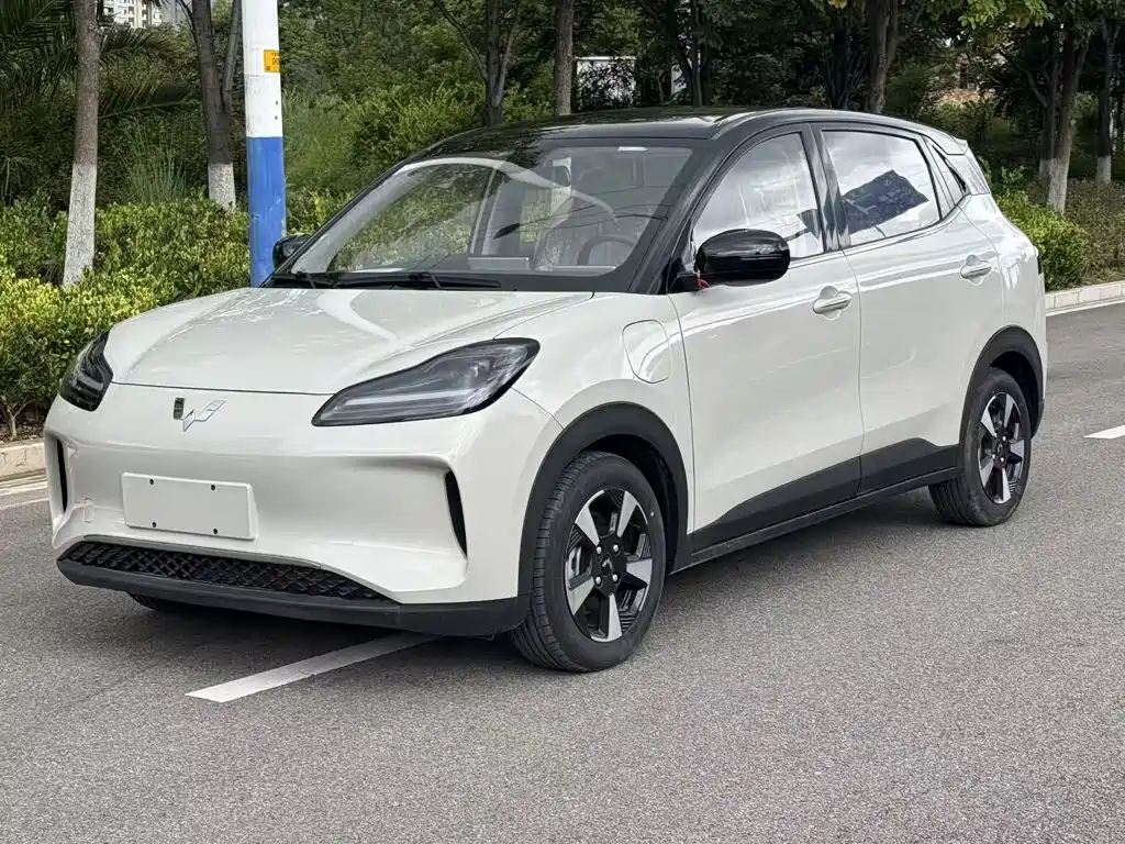 2026 Wuling Motors Wuling Binguo PLUS