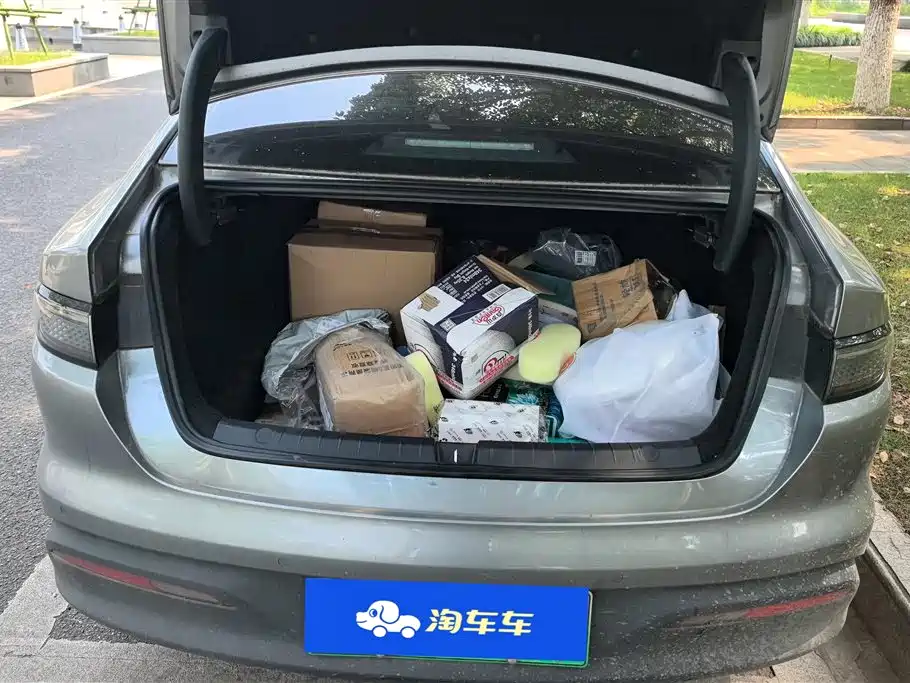 BYD Hai Bao 05 DM-i 2025 DM-i Smart Drive Edition 55KM Luxury фото 4