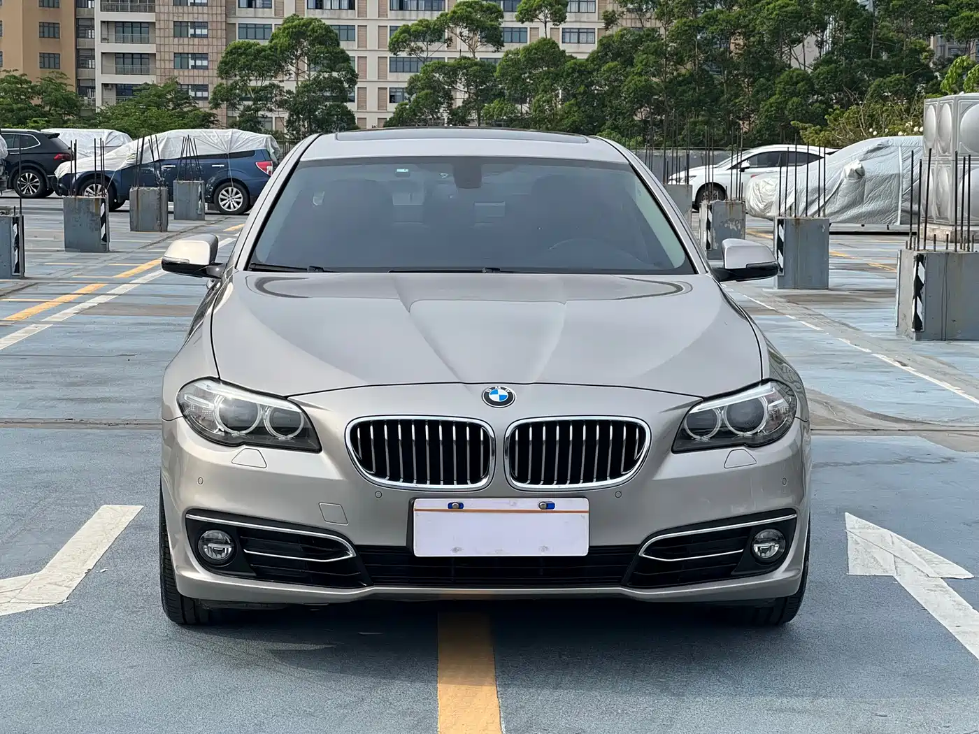 BMW 5 Series 2014 525Li Luxury Design Package фото 5