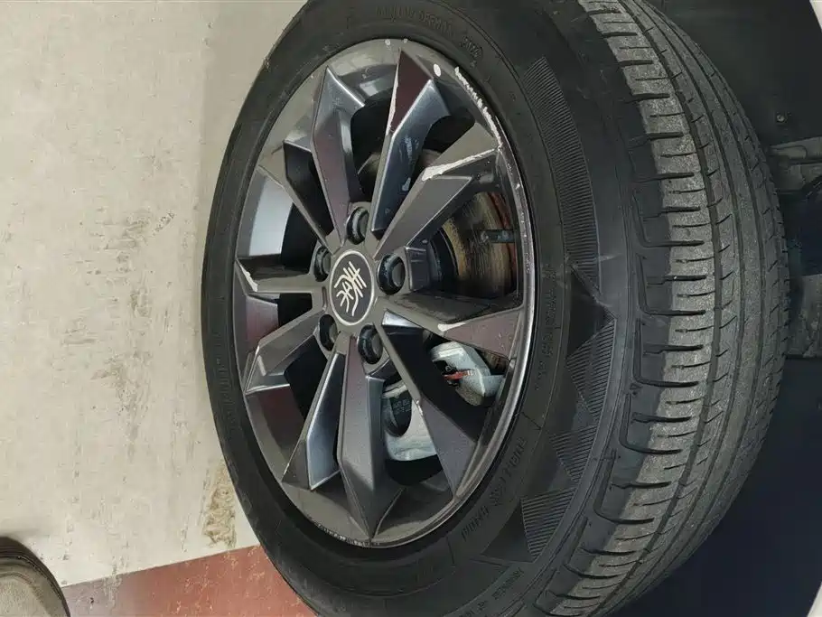 BYD Qin New Energy 2021 Leading Comfort Edition фото 6