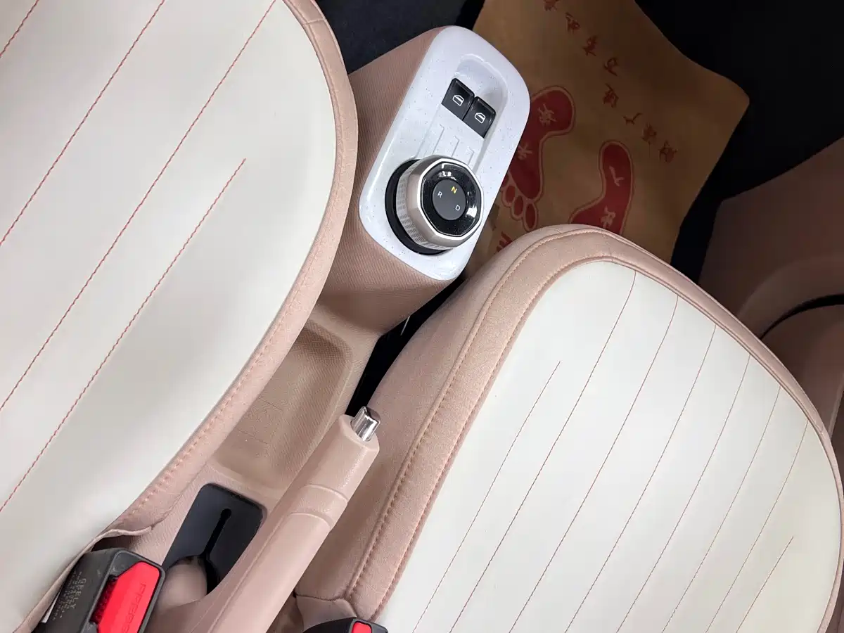Geely Galaxy Panda 2024 Panda mini 200km Endurance Bear фото 23