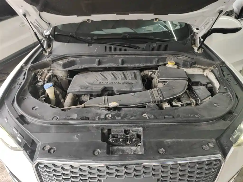 Haval F5 2018 1.5T i-Type фото 20