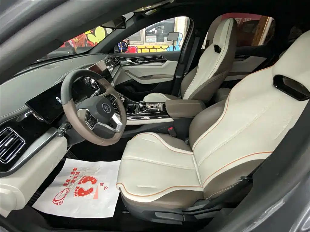 BYD Qin PLUS 2023 Champion Edition DM-i 120KM Leading Type фото 9