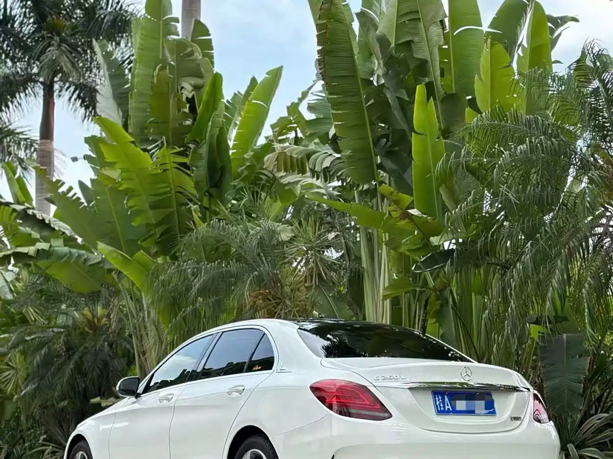 Mercedes-Benz C-Class 2020 Facelift C 260 L Sport фото 8