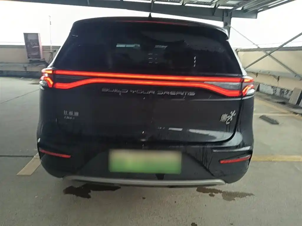 BYD Tang New Energy 2021 DM-i 112KM Premium фото 6
