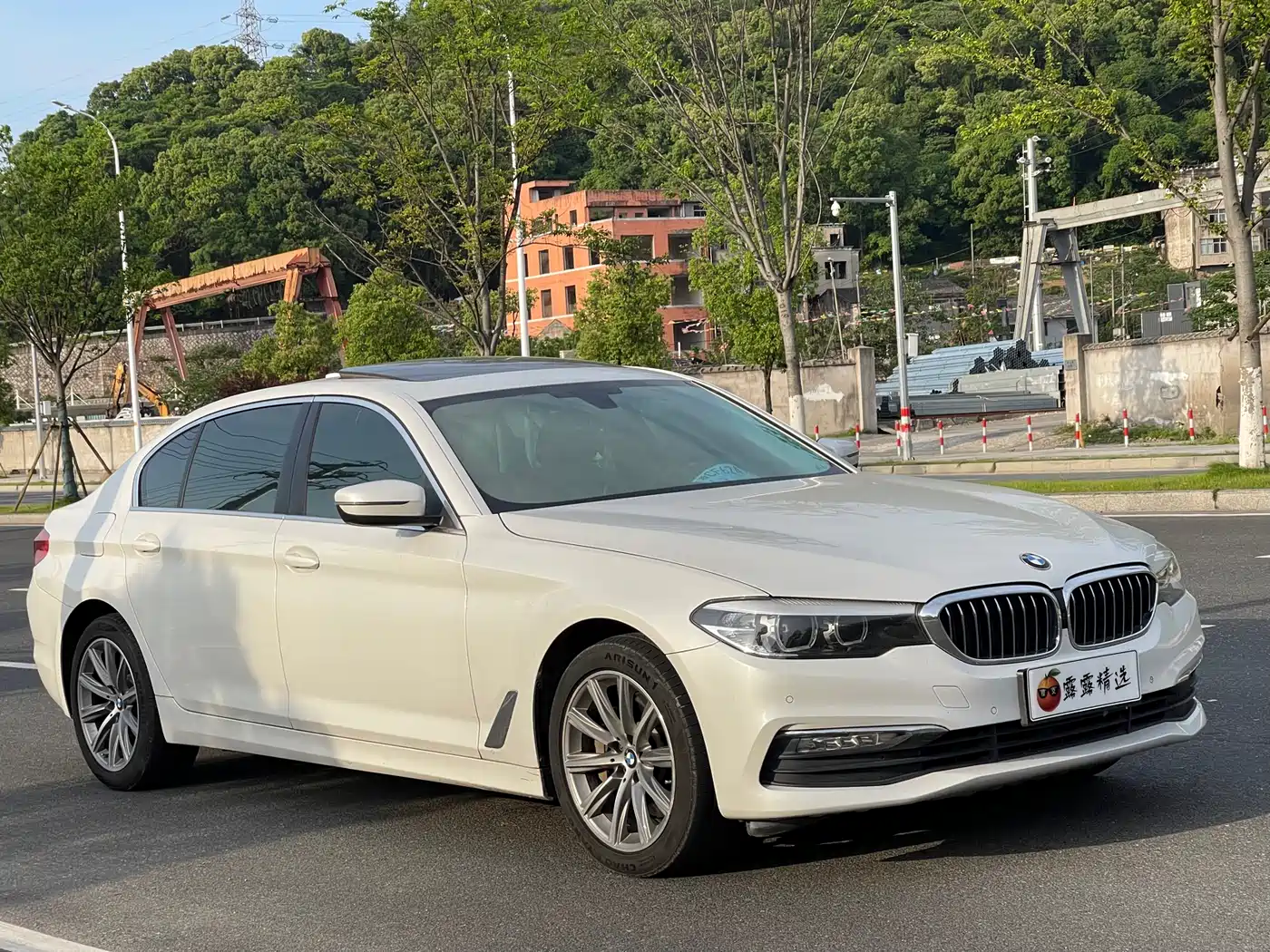 BMW 5 Series 2018 528Li Launch Special Edition