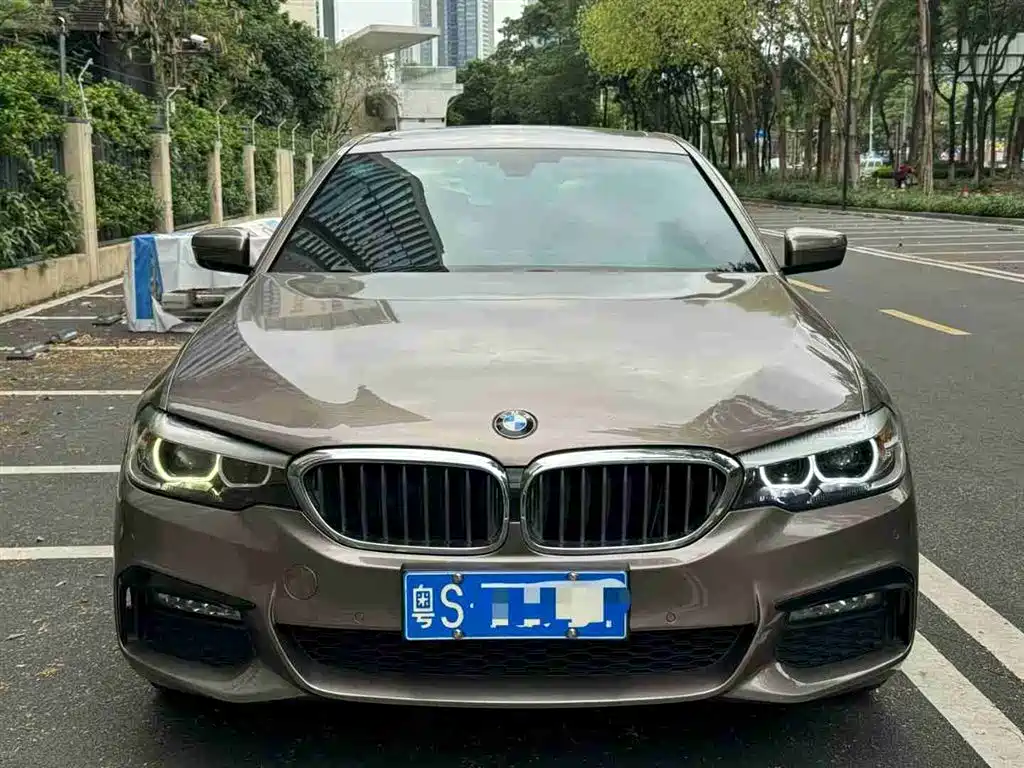 BMW 5 Series 2018 530Li Leading M Sport Package фото 3