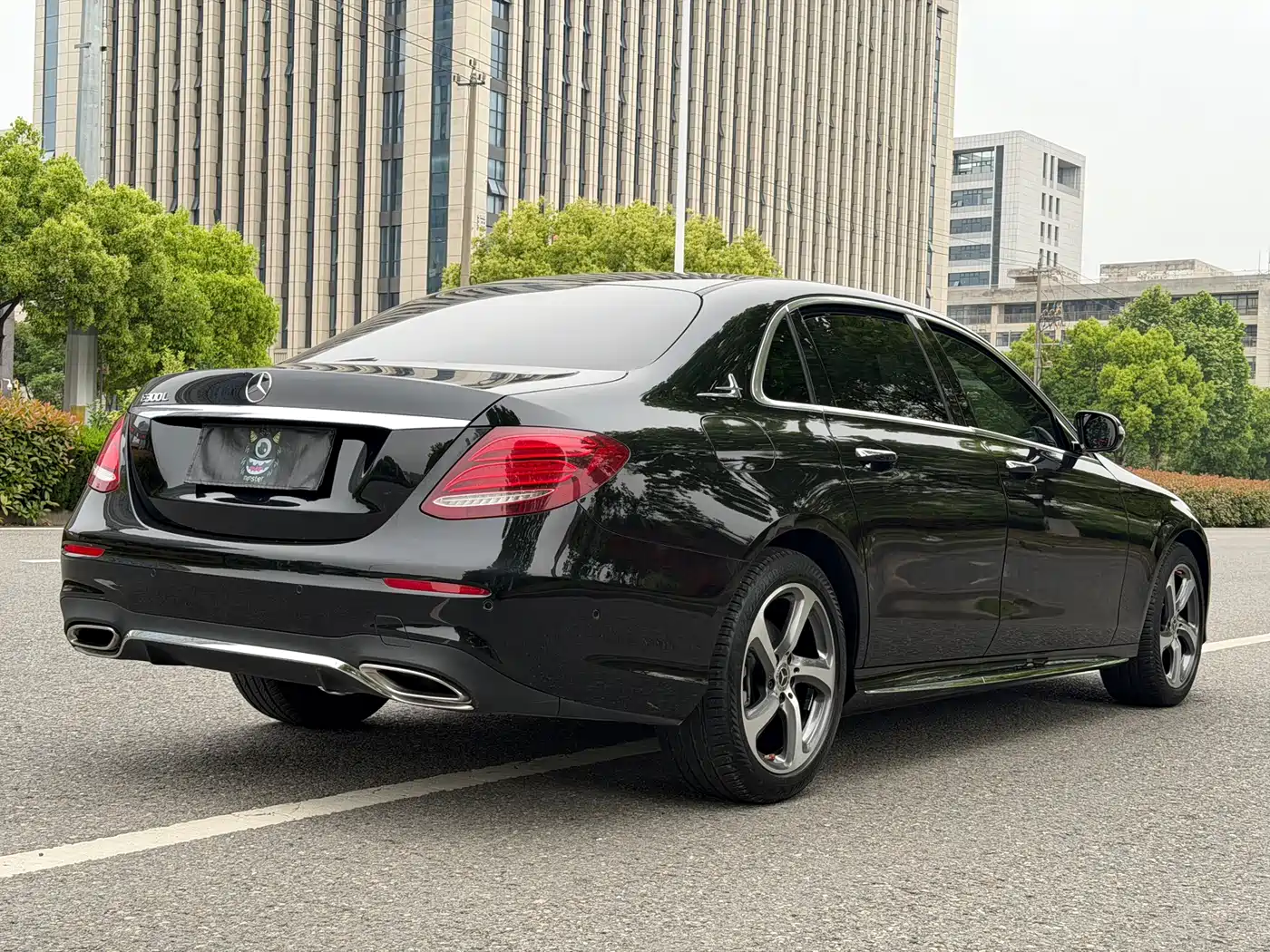 Mercedes-Benz E-Class 2019 E 300 L Sport Luxury фото 4