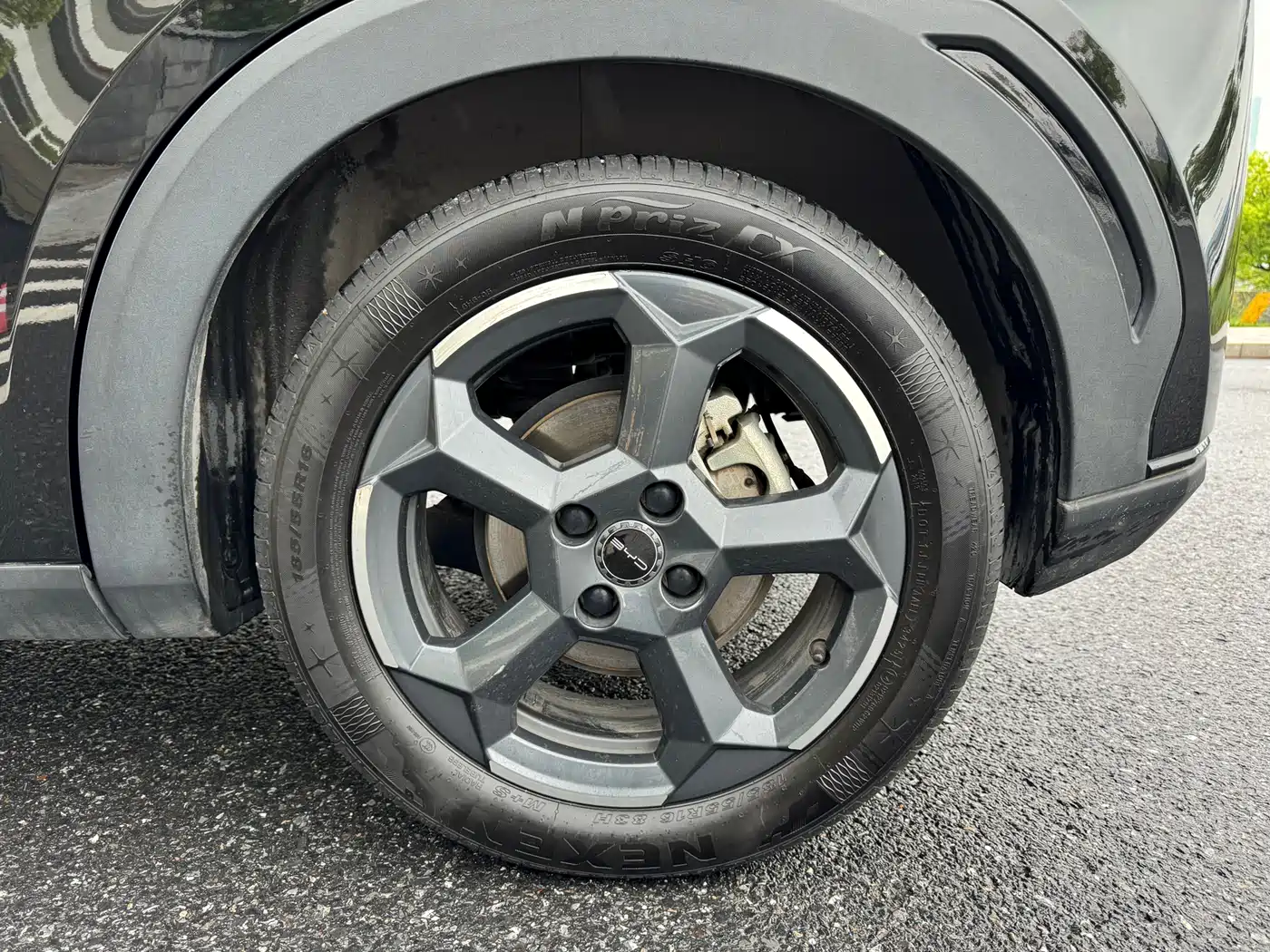 BYD Seagull 2024 Glory Edition 305km Freedom Edition фото 19