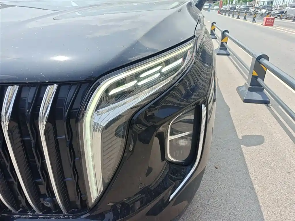 Hongqi HS7 PHEV 2024 2.0T PHEV AWD Qichang Edition 7-seater фото 24