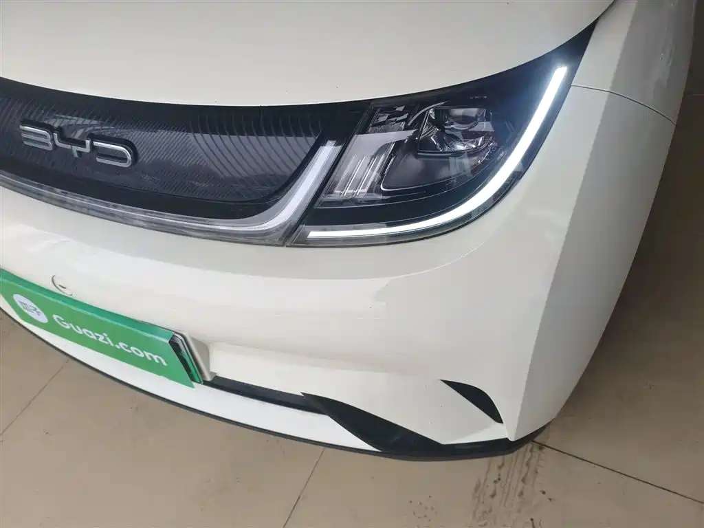 BYD Dolphin 2021 Model 405km Fashion Edition фото 24