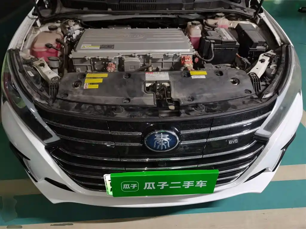 BYD Qin New Energy 2018 Qin EV450 Smart Connected Premium Edition фото 11