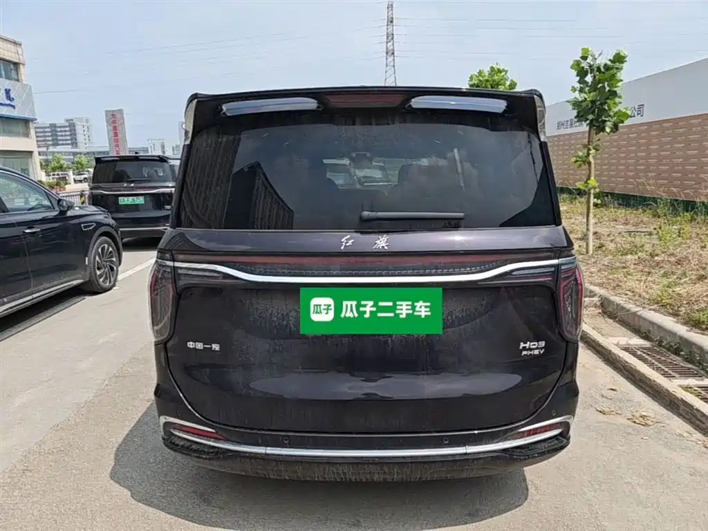 Hongqi HQ9 PHEV 2024 Model 2.0T AWD Business Edition фото 6